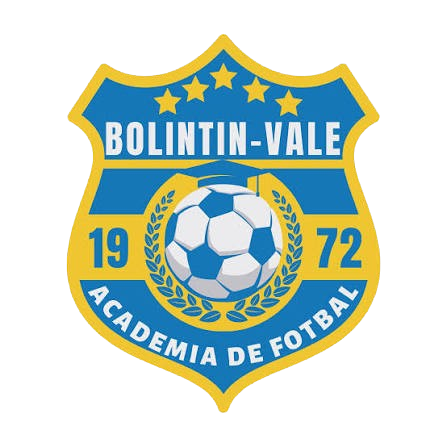 Logo Bolintin Vale