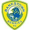Canterbury Bankstown FC