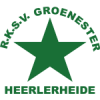 Logo Groene Ster